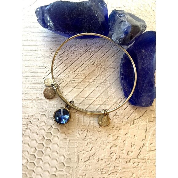 Alex and Ani Saphire Birthstone Bracelet Silver Tone - Picture 4 of 9